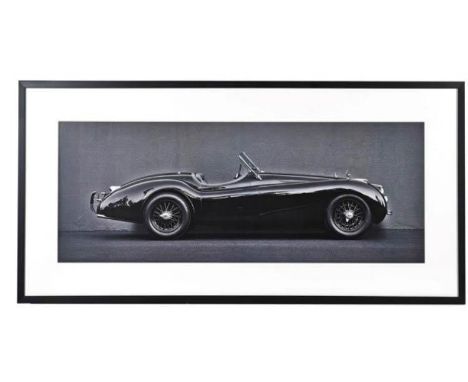 CONTEMPORARY SCHOOL PHOTO PRINT, profile of a jaguar, framed, 61cm x 123cm. 