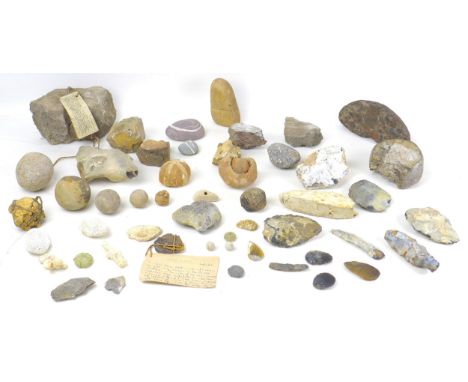 A collection of various archaeological and geological finds, including a piece from a Roman rotary quern, found on the coast 