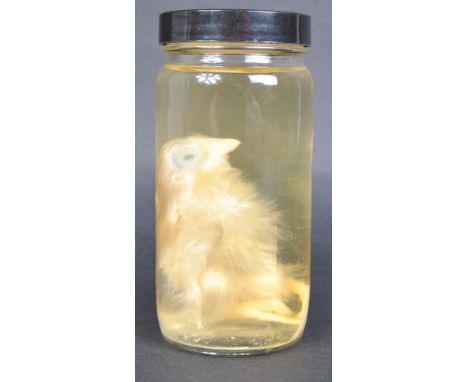 Taxidermy / Natural History - A vintage 20th Century wet specimen duckling housed within a glass jar.&nbsp; &nbsp;
COLLECTION