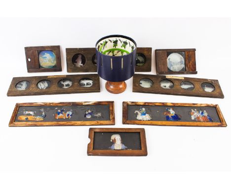 Various Magic Lantern slides/copper plate slides, including Tudor jousting, mammalia & birds; and a reproduction Zoetrope, c1