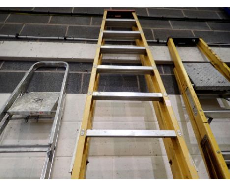 Eleven tread step ladders. Not available for in-house P&amp;P 