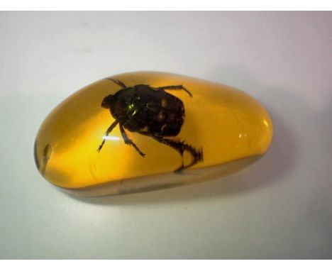 Green Beetle preserved in amber resin. UK P&amp;P Group 1 (£16+VAT for the first lot and £2+VAT for subsequent lots) 