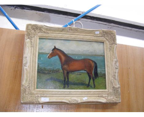 An oil horse portrait - in cream frame - 30cm x 45cm 
