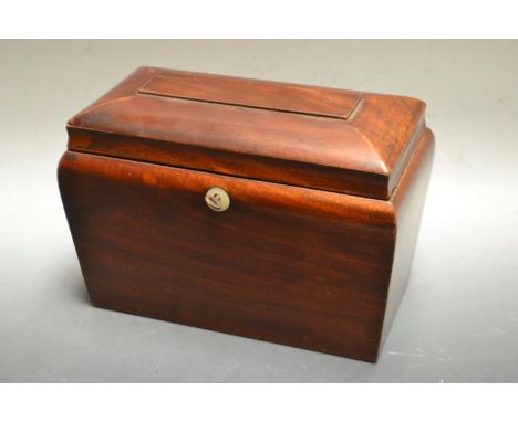 A rectangular sarcophagus single section tea caddy, hinged lid
