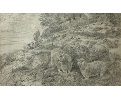 Sir Edwin Henry Landseer RA (British b.1802); 'Sheep' Flock of Sheep with Cattle grazing in a wooded pasture, pencil sketch w