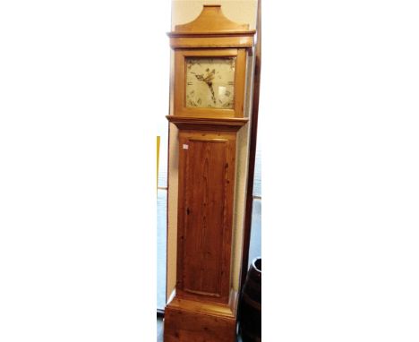 A PROVINCIAL PINE CASED 30 HOUR LONGCASE CLOCK  with enamel dial, 43cm wide 25cm deep 206cm high