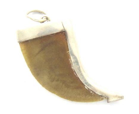 925 silver mounted lion claw pendant, L: 18 mm. P&amp;P Group 1 (£14+VAT for the first lot and £1+VAT for subsequent lots) 