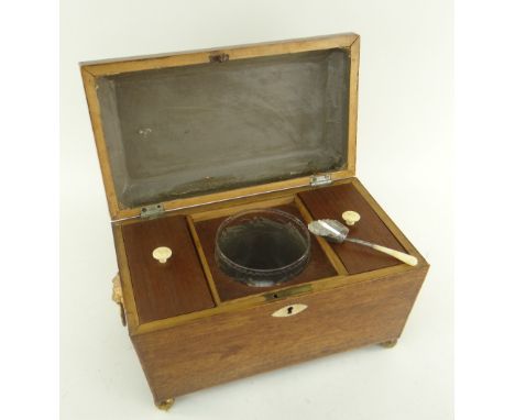ANTIQUE TEA CADDY WITH SILVER SHOVEL SPOON