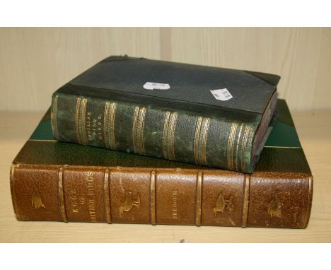 Eggs of British Birds, Seebohm, Henry 1896 (first edition) Green tooled half calf binding. Containing many coloured illustrat