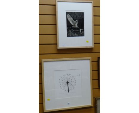 Framed print entitled 'Dandelion Clock' by SONIA PANG dated 2014 together with a framed limited edition (4/180) print 'Caught