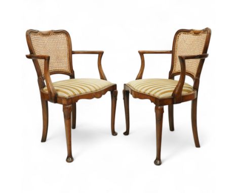 Pair of 20th-century Hampton & Sons of London cane back walnut armchairs, scroll carved top rail above drop-in cushion uphols