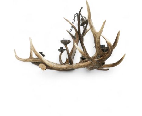 Large Deer Antler Mounted Chandelier, with six fitted lights, with supporting ceiling fitted chain, approximately W105cm x H5