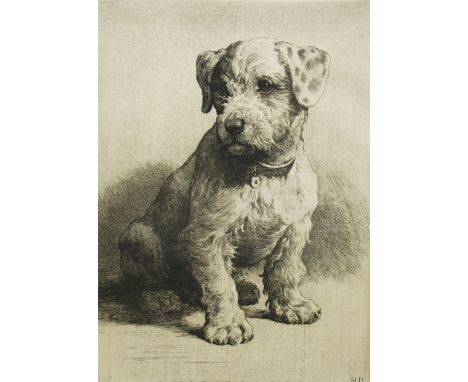 Herbert Dicksee (British 1862-1942): 'A Sealyham Pup', drypoint etching on paper signed in pencil with blindstamps pub. Frost