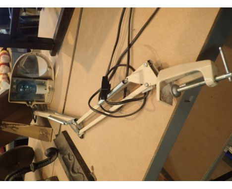 Adjustable magnifying lamp  CONDITION REPORT: This item has been PAT tested and PASSED. PAT testing does not guarantee that t