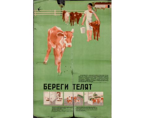 Petr Karachentsov (1907-1998) &ndash; Lithograph in colours &ndash; Poster &ndash; &ldquo;Take Care Of The Calves&rdquo; (193