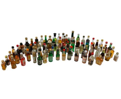 A collection of liqueur, rum, vodka and other miniatures