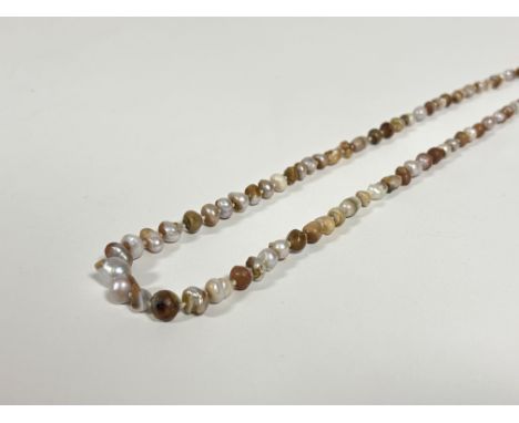 A Scottish freshwater mussel baroque pearl single strand necklace, of graduated brown to white pearls, on a 9ct gold clasp ha