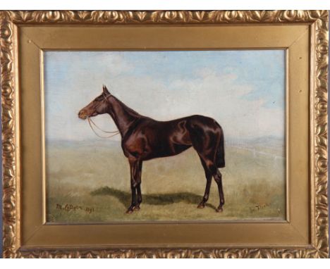 M Collyer, 1893: oil on canvas, "La Fleche", portrait of a racing horse (one of Wildman Cattley's horses), 9 1/2" x 13 1/2", 