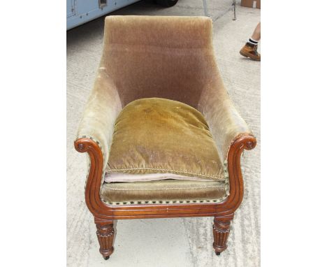 A William IV mahogany framed armchair, upholstered in a gold velvet with loose seat cushion, scroll shaped arm facings, on tu