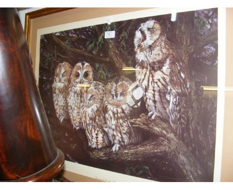 A Limited Edition artists proof print of owls