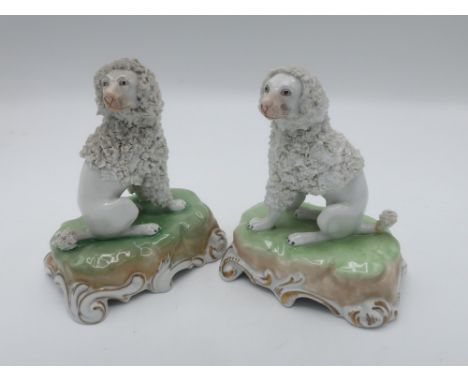 Pair of 20th century Dresden porcelain models of Poodles seated on cushions, scroll bases with gilt detail, printed marks in 