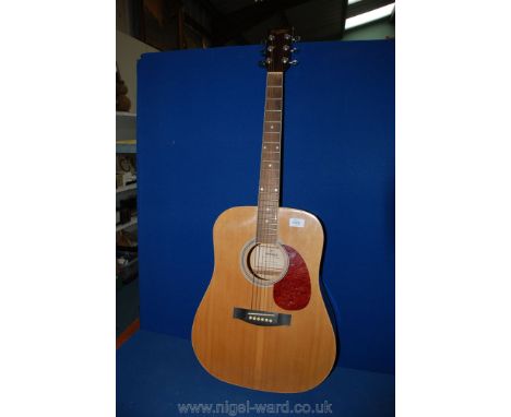 A Hohner Guitar