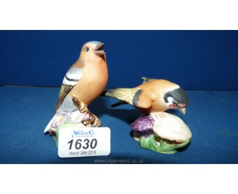 A Royal Worcester chaffinch and a goldfinch