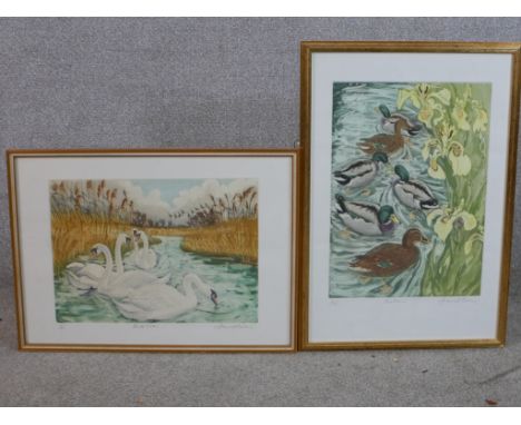 David Koster (British b.1926) Mute Swans, a coloured limited edition 5/50 pencil signed print, framed together with Mallard, 