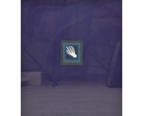 20th century, comet, woodblock print on paper, framed. H.57.5 W.49.5cm 