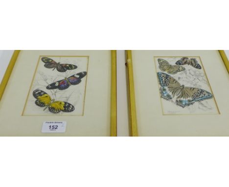 Pair of hand coloured Butterfly framed prints in gilt glazed frames, 10 x 15cm, (2) 