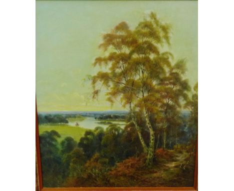 M. Allen  'Woodland Landscape with a River in the distance' Oil-on-Canvas,  signed, in a gilt frame, 42 x 55cm 
