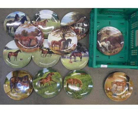 Thirteen equine plates by Worcester, Doulton and Bradex 