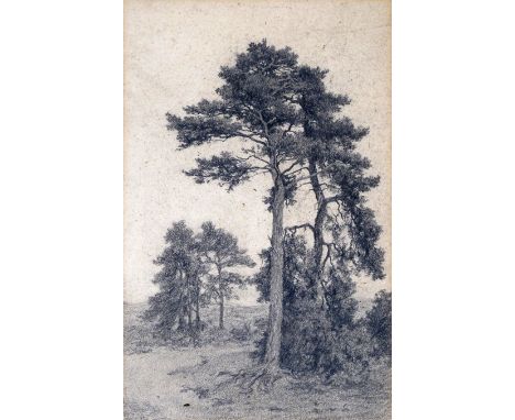 Benjamin Williams Leader R.A. (1831-1923) Tall pines Pencil 33 x 21cm; 13 x 8¼in ++Some mount-staining, some light foxing in 
