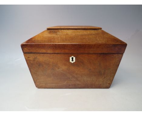 AN ANTIQUE MAHOGANY SARCOPHAGUS TEA CADDY, the hinged lid opening to reveal a twin lidded fitted interior, W 25 cm, D 15.5 cm