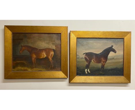 Edith A Simkins, two oil on canvas horse portraits in gilt frames. One signed lower left EA Simkins 1897 and to verso "Ruby o