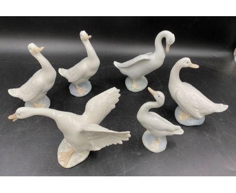 A selection of five white duck figurines comprising one small Lladro 12cms, four Lladro Nao 3 x15cms, 1 x 13cms together with