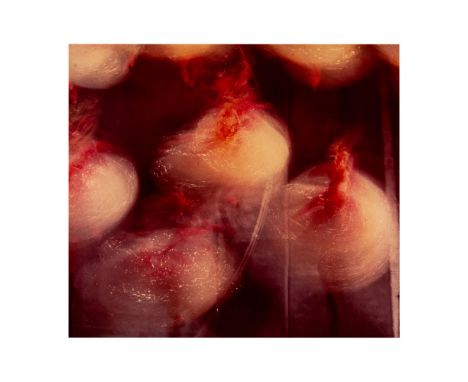 Original color photograph entitled 'The Corps de Ballet' taken at Radio City Music Hall, New York City. Fine art photographer