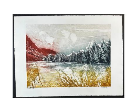 Etching titled Valley Lake Signed lower right numbered 12/175. Sight size 30" x 22.25" 