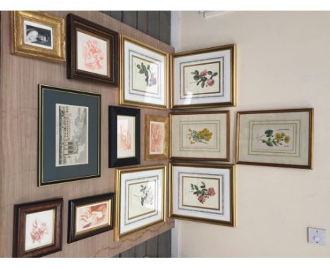 A quantity of miscellaneous prints after Old Master subjects to inc floral studies & original engravings after Rubens etc (13