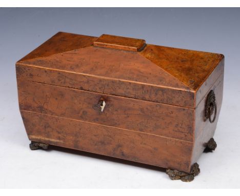 AN EARLY 19TH CENTURY YEW WOOD TEA CADDY with twin compartments and mixing bowl on gilded feet, 29cm wide