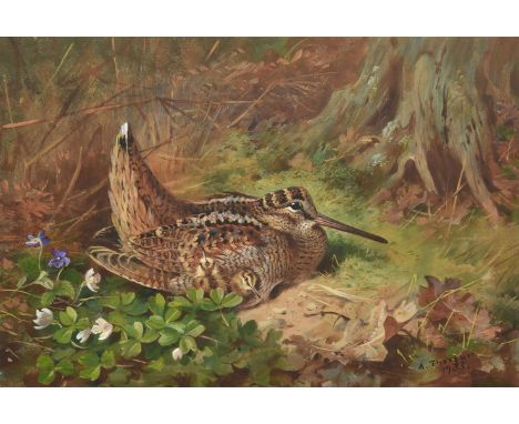 ARCHIBALD THORBURN (BRITISH 1860-1935)WOODCOCK AND CHICKSWatercolourSigned and dated 1933 (lower right)27 x 37.5cm (10½ x 14¾