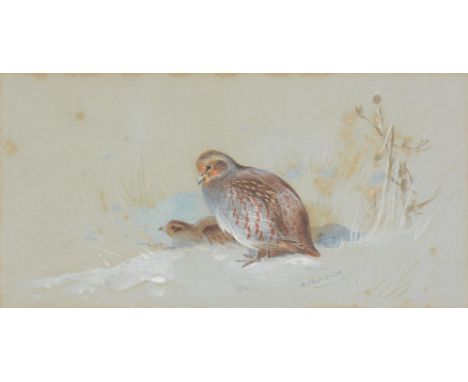 ARCHIBALD THORBURN (BRITISH, 1860-1935)PARTRIDGES IN THE SNOWWatercolour and bodycolourSigned (lower right)13 x 26cm (5 x 10 