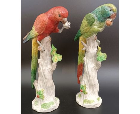 A pair of Dresden figures of parrots, 30 cm high (2)Some losses