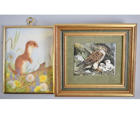 A Brass Framed Miniature Watercolour of a Weasel together with an Enamel on Copper of Kestrel Family 