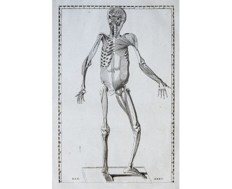 Albinus, B.S. Explicatio Tabularum Anatomicarum Bartholomaei Eustachii, Anatomici summi. Accedit Tabularum ed. Nova. Leiden, 