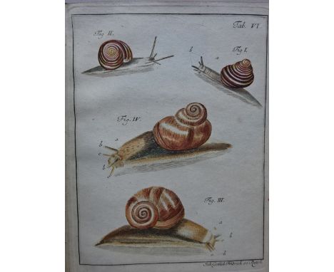 Schäffer, J.C. Erstere und fernere Versuche mit Schnecken nebst einem Nachtrage. 2. Aufl. Regensburg, Keyser, 1770. Titel, 68