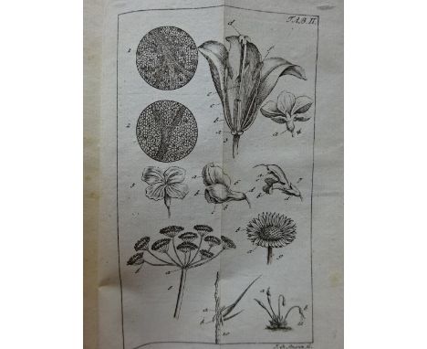 Blumenbach, J.F. Handbuch der Naturgeschichte. 4. Aufl. Göttingen, Dieterich, 1791. XII, 704 S., 17 Bll. Mit 3 gefalt. Kupfer