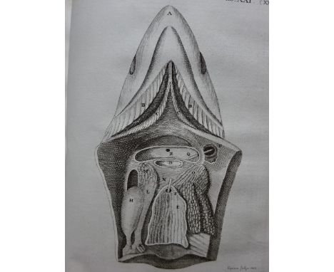 Monro, A. Vergleichung des Baues und der Physiologie der Fische mit dem Bau des Menschen und der übrigen Thiere durch Kupfer 