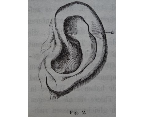 Darwin, Ch. Die Abstammung des Menschen und die geschlechtliche Zuchtwahl. Aus dem Englischen v. J.V. Carus. 2 Bde. Stuttgart