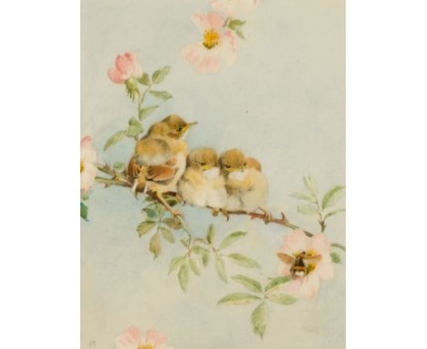 •□ WINIFRED M.L. AUSTEN, R.E., R.I., S.W.A. (1876-1964) WHITETHROATS monogrammed l.l. watercolour 25.0 x 19.5 cm / 9 3/4 x 7 